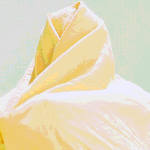 [방탄소년단] 자자 보자보자~~~~~