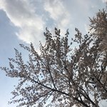[댓글부탁해] 보통 <b>파마</b> 몇개월에 한번 함??