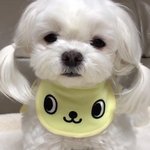 [댓글부탁해] 에스쁘아 비<b>실크</b> 어땡..