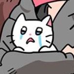 [조언부탁해] <b>짝</b>남이랑 내 친구랑 단 둘<b>이</b> 밥 먹었대