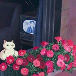 얼굴형이 예쁜게 제일 부럽다..