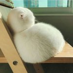 [댓글부탁해] 콧대는 언제까지 <b>자라</b>