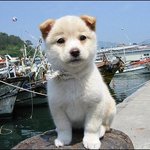 <b>휴게소</b>에서 시집에서나 나올법한 여자를 봤다