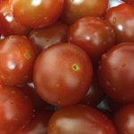 혼자 <b>배낭</b>여행 할 때 넉넉하게 얼마 있어야 될까 교통비 포함해서...