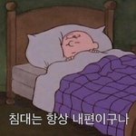 수련횐데 어떡하냐