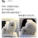 [댓글부탁해] 개명할건데 이름 추천 좀 해주라!