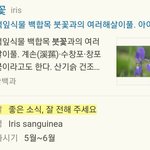 [EXO] 뮤비 마지막에 나온 꽃 꽃말이랑 <b>개화시기</b> 눈물이네ㅠㅠㅠ