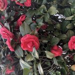 [댓글부탁해] 나 <b>무슨상</b> 같닝?