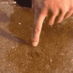 남친이 나한테 이상한걸로 설렜대