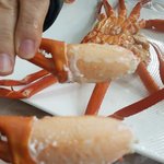 [먹거리] 무조건100%<b>공짜</b>