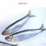 [모두드루와] 강화도에만 있다는 <b>피자</b>