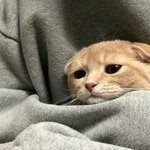 [드루와] 꽃보다 그윽<b>이랑</b> 생기갑 둘다 써본사람있어?