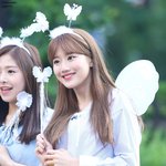 [모두드루와] 도겸 <b>홈마</b>가 찍은 에이프릴 나은