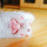 [댓글부탁해] 고백할까말까 추반 <b>고고</b>링