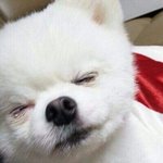 우리학교 <b>졸업생</b> 때문에 우리 욕먹음