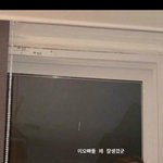 [댓글부탁해] 진짜 인디고에서 양<b>홍원</b>이 젤 정상이라는말 ㄹㅇ