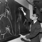 약간 내가 입생 쓰는거 싫어하게 생김