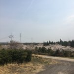 [드루와] 제주도 너무좋다