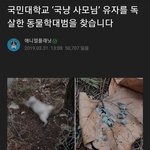 [댓글부탁해] 국민대 <b>마스코트</b> 냥이 근황