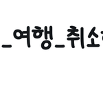 [세븐틴] 실트까지 떴네