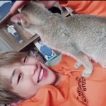 [강다니엘] 190402 한밤 스타들의 반려<b>동물</b>