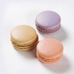 [댓글부탁해] 너내 마카롱집 후려치기작작해라