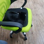 [고양이] 사무실에 <b>서식</b>하는 애옹쓰 자랑