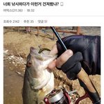 [19] <b>낚시</b>하다가 건졌대 개무서워ㅠㅠㅜㅜ