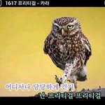 [드루와] 다이어트 중에 뿌<b>링클</b> 먹었어 ..