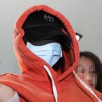 황하나 체포영장 발부 남양유업 불매운동 <b>확산</b>
