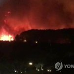 긴급-강원도 산불 속초시내로 번져 대피령<b>확산</b>