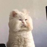 [댓글부탁해] 나 공부하라고 <b>독촉</b>좀 제발