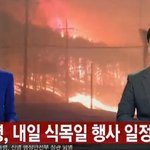 [댓글부탁해] 속초 <b>산불</b> 정부 대응 떳다