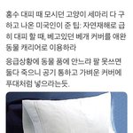 @@@화재현장 가까이있는 <b>애완</b>동물있는 애들 봐@@@