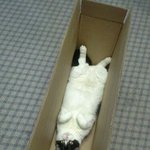 [이것좀봐줘] 식당일 해본사람 글좀봐주세요ㅠ