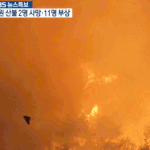 [실시간속초] 속초에 <b>강풍</b>이 얼마나 쌔냐면
