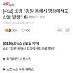 [실시간<b>산불</b>] 얘들아 <b>산불</b> 또 났어 좀 올려주라