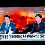 북쪽으로 더 번지면 북한이랑 진화<b>협의</b> 할수도있대