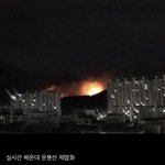 해운대 산불 <b>재발</b>화해서 진압중이래