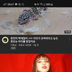 블랙핑크 컴백할때 나타나는 <b>기현상</b>....jpg