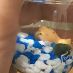 [댓글부탁해] 나 드디어 <b>마리</b>모 샀다