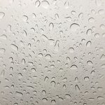 [19] 미친 내남친이;