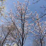 [드루와] 블핑 이번 신곡 대박이다