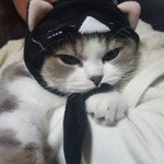[댓글부탁해] 오랜만에 설렘썰 <b>풀자</b>