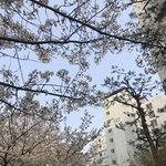 엄마한테 쌍수하고 싶다고 어<b>케말</b>하냐..