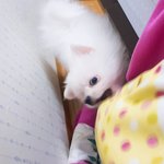 내 <b>이불</b>에 집착하는 버릇 어캐 고치냐ㅠㅠㅠ