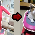 진동 운동기구 쓸 줄 아는 고양이ㅋㅋㅋ