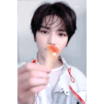 [NCT] ㅅㄷ 덕질용 6공 다이어리살건데