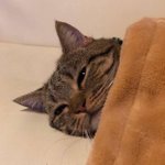 [19] 방탈미안한데 급해ㅠ헤어지고나서