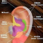 [댓글부탁해] 피어싱 <b>종류</b>와 고통지수.JPG